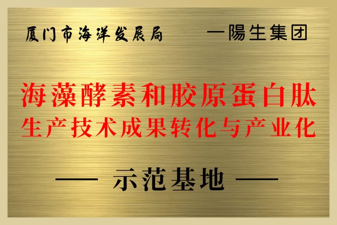 AG8亚洲国际游戏集团_首页官网